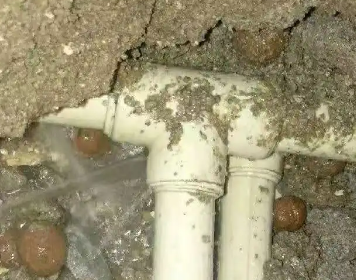 高明测漏水多少钱