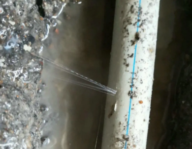 高明测漏水哪家好