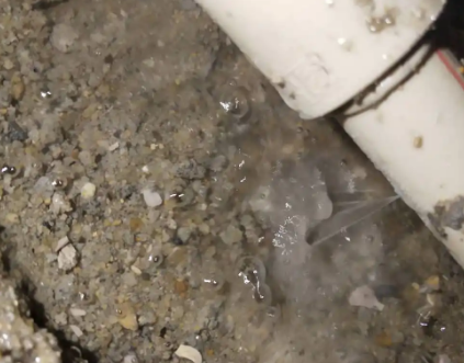 高明测漏水电话号码