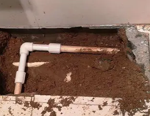 高明测漏水哪家好