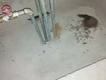 高明卫生间测漏水价格明细