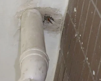 高明漏水检测哪家好